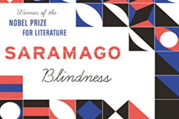 Picture Of Blindness Book Cover